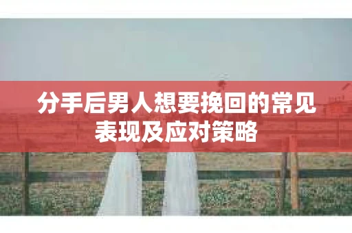 分手后男人想要挽回的常见表现及应对策略