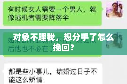 对象不理我，想分手了怎么挽回？