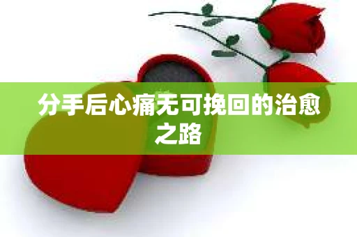 分手后心痛无可挽回的治愈之路