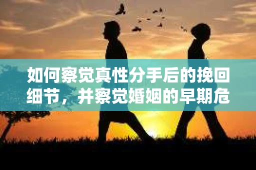 如何察觉真性分手后的挽回细节，并察觉婚姻的早期危机信号？