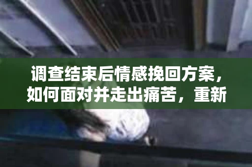 调查结束后情感挽回方案，如何面对并走出痛苦，重新寻找人生方向？
