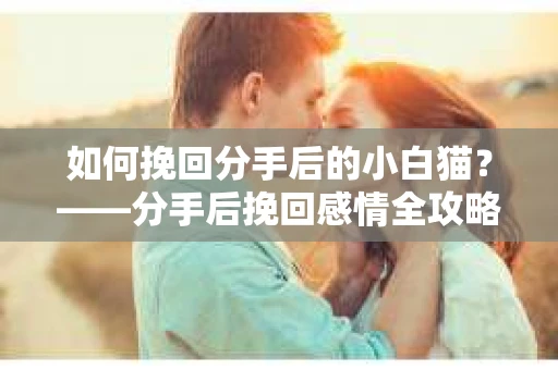 如何挽回分手后的小白猫？——分手后挽回感情全攻略