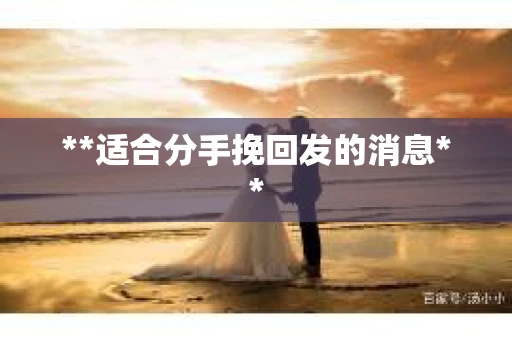 **适合分手挽回发的消息**