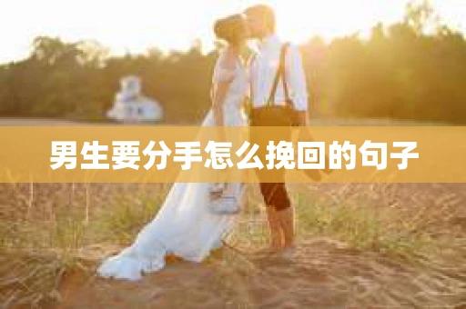 男生要分手怎么挽回的句子
