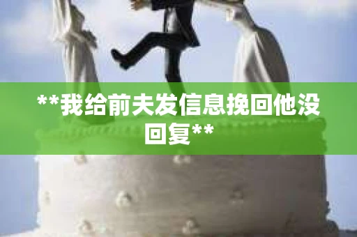**我给前夫发信息挽回他没回复**