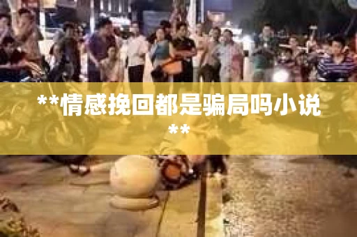 **情感挽回都是骗局吗小说**