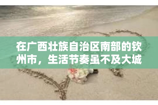 在广西壮族自治区南部的钦州市，生活节奏虽不及大城市那般快，但同样存在着各种各样的人和事。在这个充满故事的城市里，私家侦探的身影也逐渐成为了一种独特的存在。今天，就让我带你走进钦州的私家侦探世界，一探究竟。