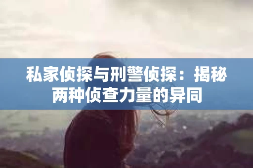 私家侦探与刑警侦探：揭秘两种侦查力量的异同