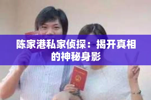 陈家港私家侦探：揭开真相的神秘身影