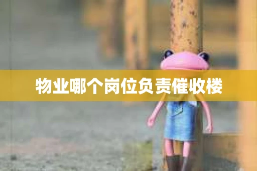 物业哪个岗位负责催收楼