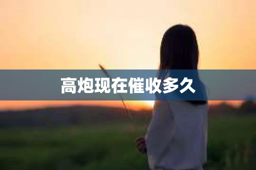 高炮现在催收多久