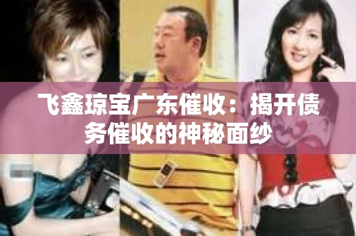 飞鑫琼宝广东催收：揭开债务催收的神秘面纱