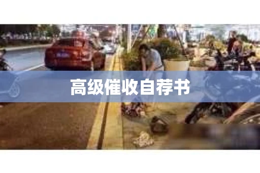 高级催收自荐书