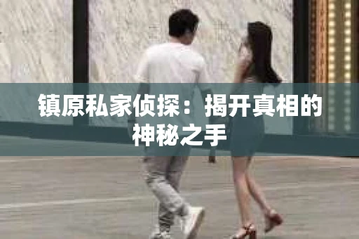 镇原私家侦探：揭开真相的神秘之手