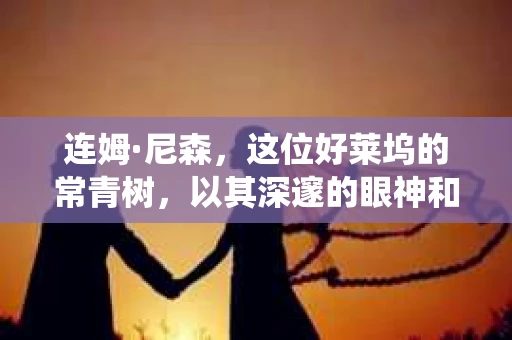 连姆·尼森，这位好莱坞的常青树，以其深邃的眼神和丰富的演技，塑造了无数令人难忘的角色。今天，我们就来聊聊他在电影中扮演私家侦探的故事，看看这位演技派如何将这个角色演绎得淋漓尽致。