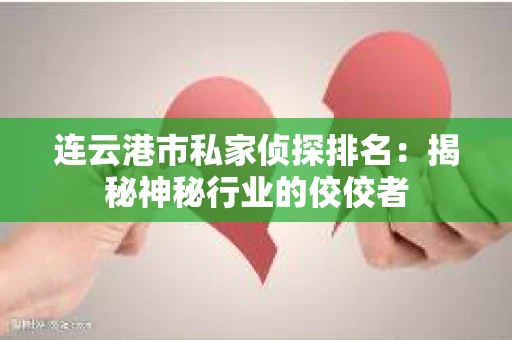 连云港市私家侦探排名：揭秘神秘行业的佼佼者