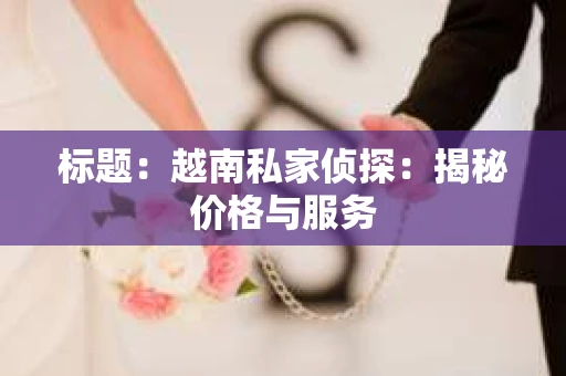 标题：越南私家侦探：揭秘价格与服务