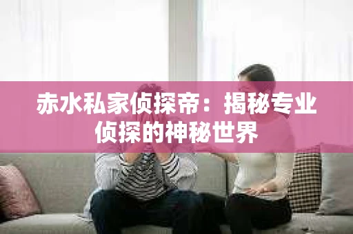 赤水私家侦探帝：揭秘专业侦探的神秘世界