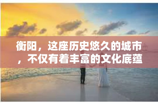 衡阳，这座历史悠久的城市，不仅有着丰富的文化底蕴，也有着现代都市的繁华。在这样一个城市里，人们的生活节奏快，压力也大，有时候，一些私人问题需要专业人士的帮助。那么，衡阳哪有私家侦探呢？今天，我就来给大家分享一下我的了解。