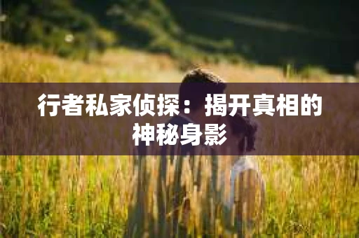 行者私家侦探：揭开真相的神秘身影