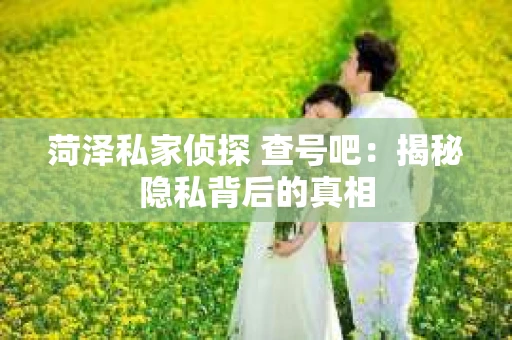 菏泽私家侦探 查号吧：揭秘隐私背后的真相