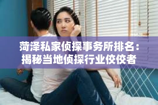 菏泽私家侦探事务所排名：揭秘当地侦探行业佼佼者