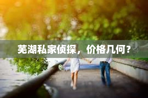 芜湖私家侦探，价格几何？
