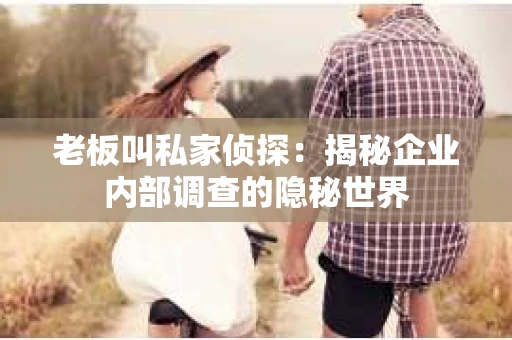 老板叫私家侦探：揭秘企业内部调查的隐秘世界