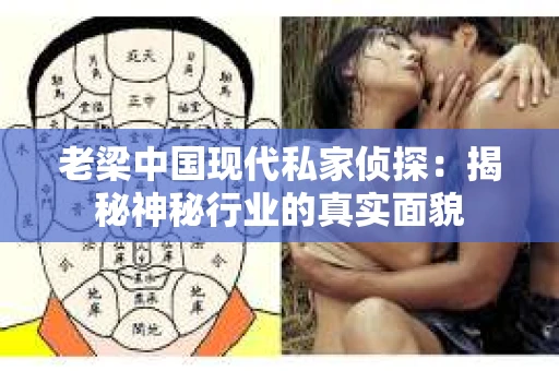 老梁中国现代私家侦探：揭秘神秘行业的真实面貌