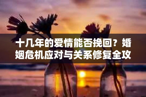 十几年的爱情能否挽回？婚姻危机应对与关系修复全攻略