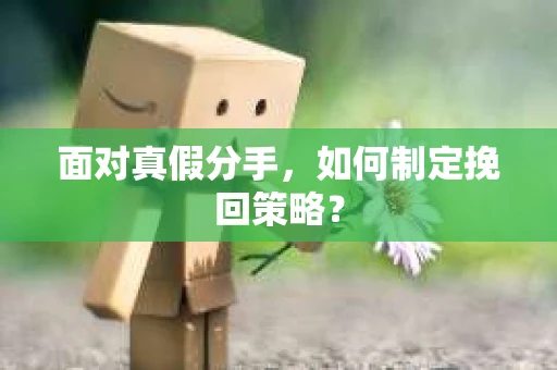 面对真假分手,如何制定挽回策略? 面对真假分手,如何制定挽回策略?