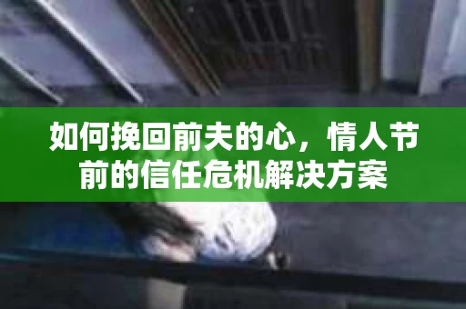 如何挽回前夫的心，情人节前的信任危机解决方案
