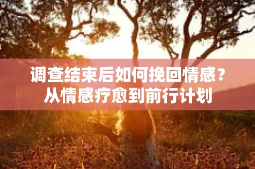 调查结束后如何挽回情感？从情感疗愈到前行计划